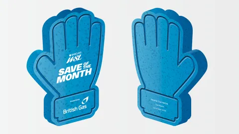 British Gas - Save of the Month Award